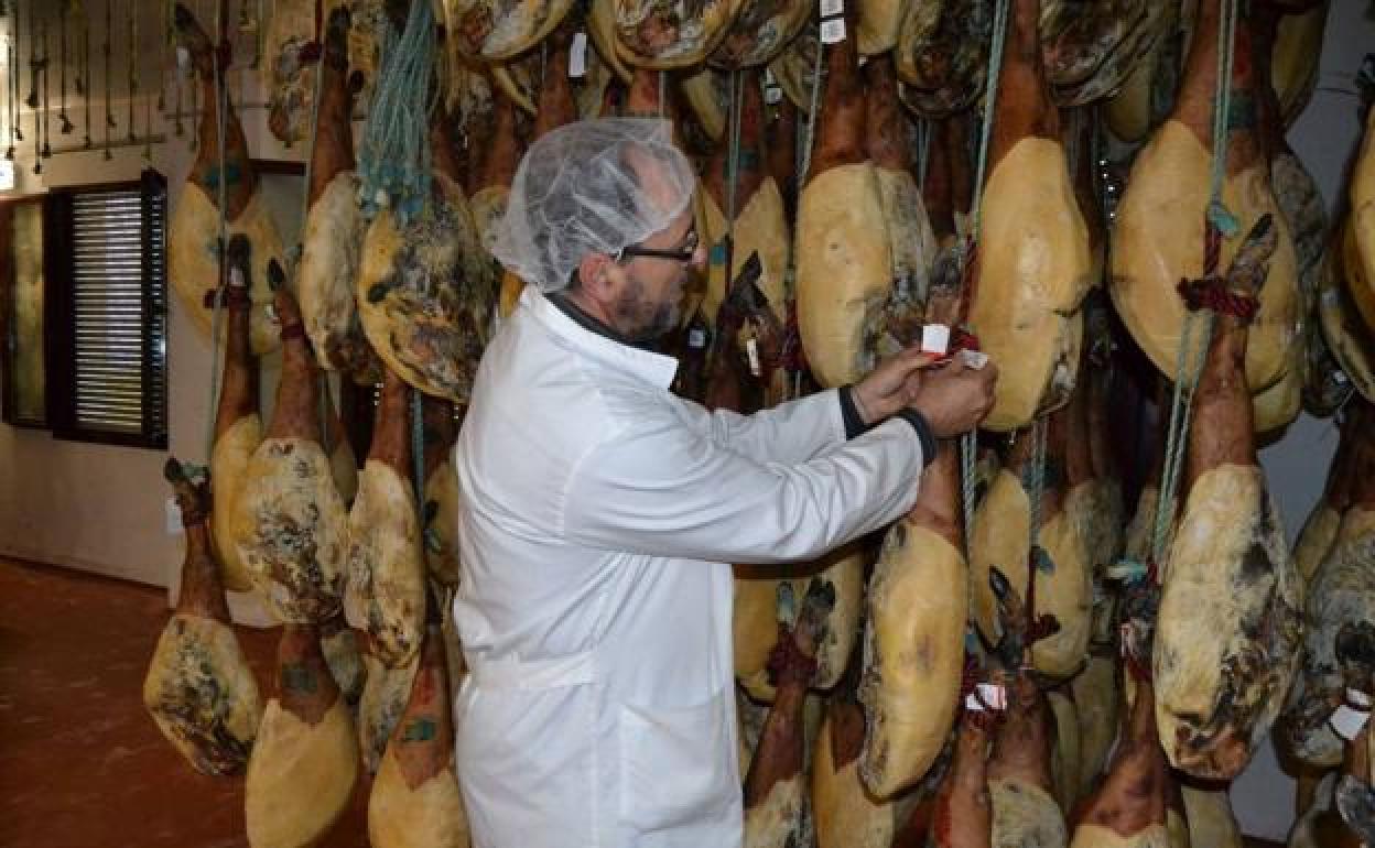 Las Exportaciones Agroalimentarias Crecen Un 117 Durante Los Diez Primeros Meses Del Año El 1348